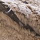 Beige Beni Mrirt Rug - 314 x 215 cm