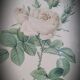 Litho rosier perfumers