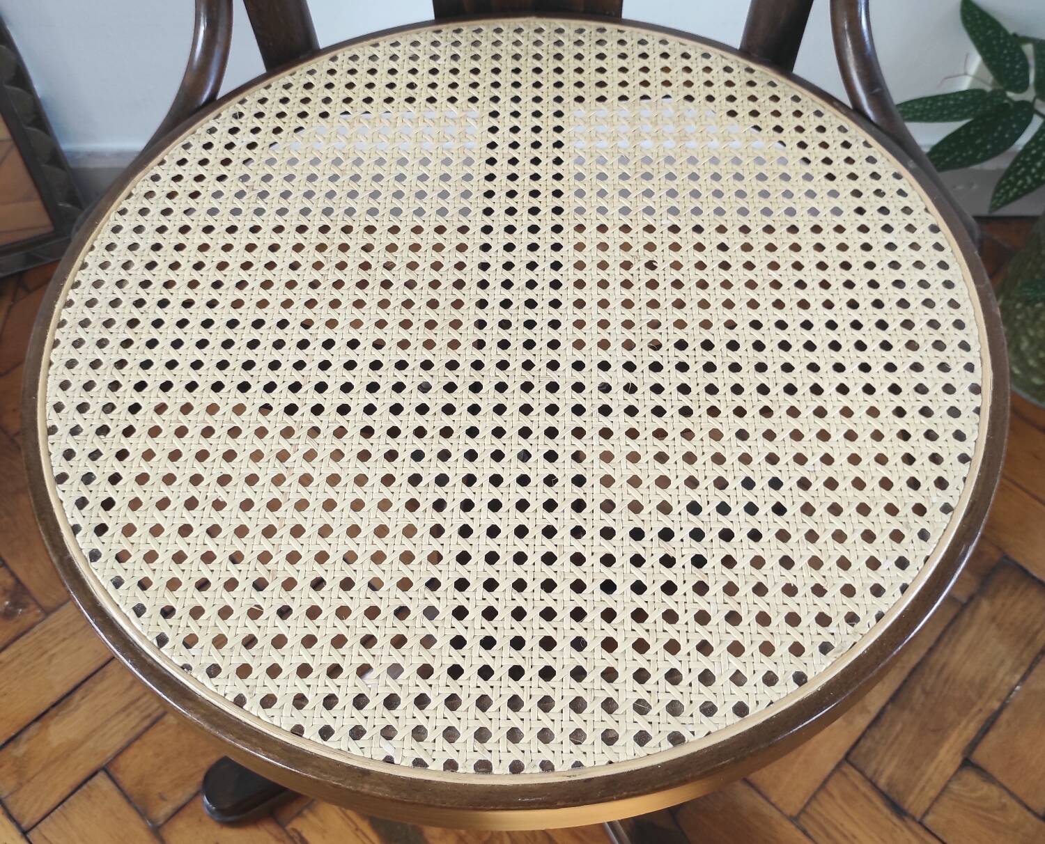 Vintage swivel office chair with curved wood and caning (Thonet style)