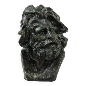 Neoclassical bust warrior gaulois head of a gaul after françois rude (1784-1855)