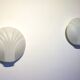 Set of 2 Hillebrand Art Deco shell opal glass wall lamps, 1960