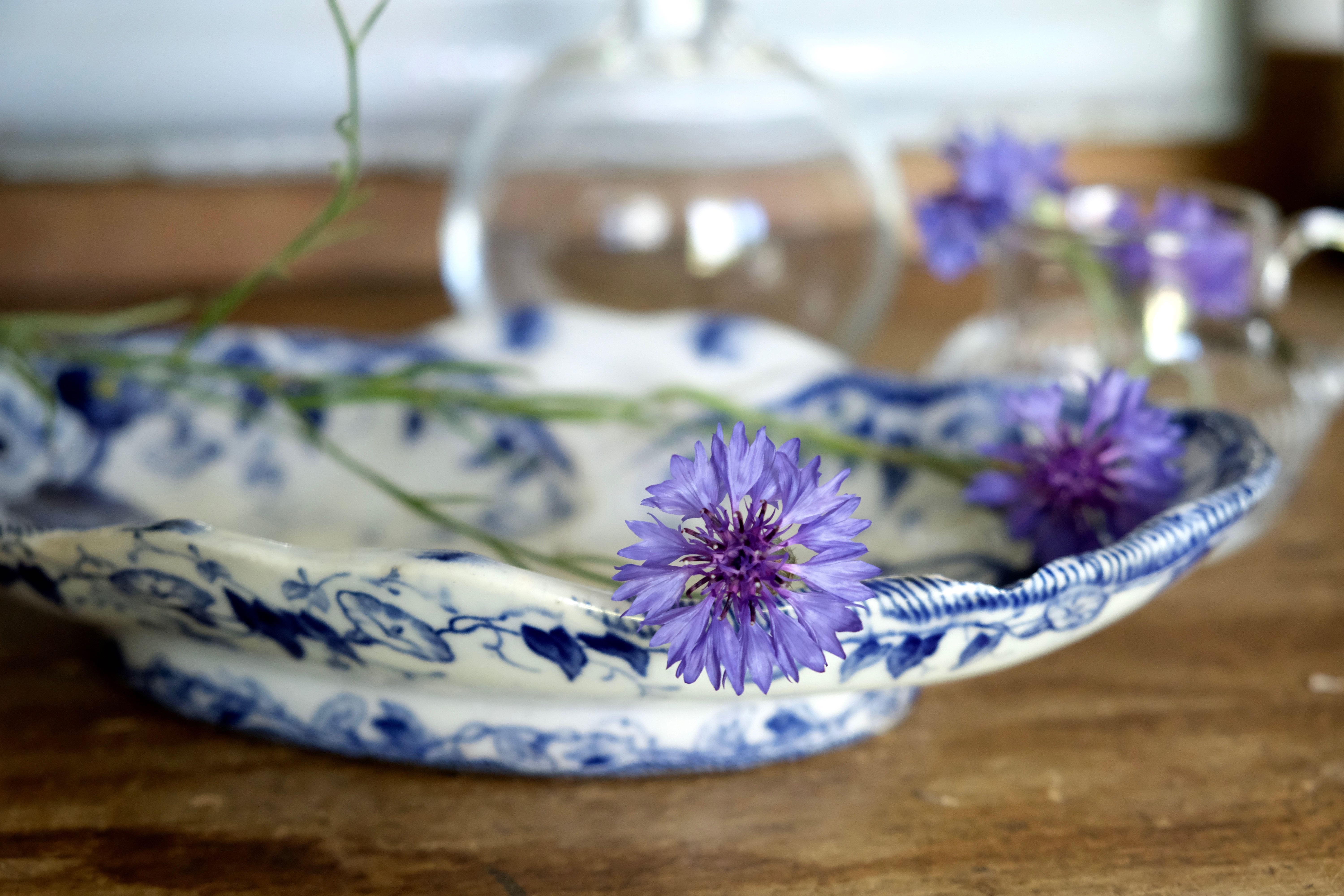 Ravier in porcelain, Ironstone, model Flora, Creil & Montereau XIXth