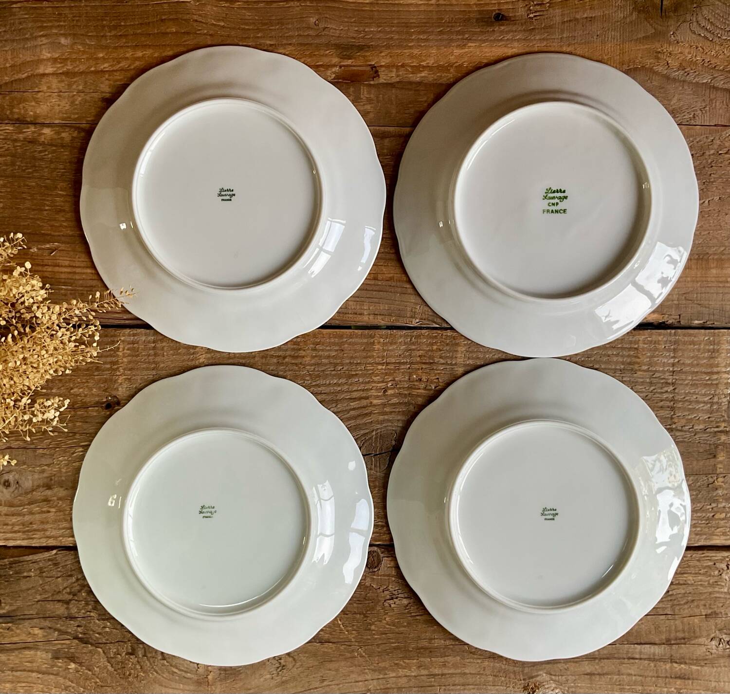 4 Limoges porcelain cheese plates “Wild Lier”
