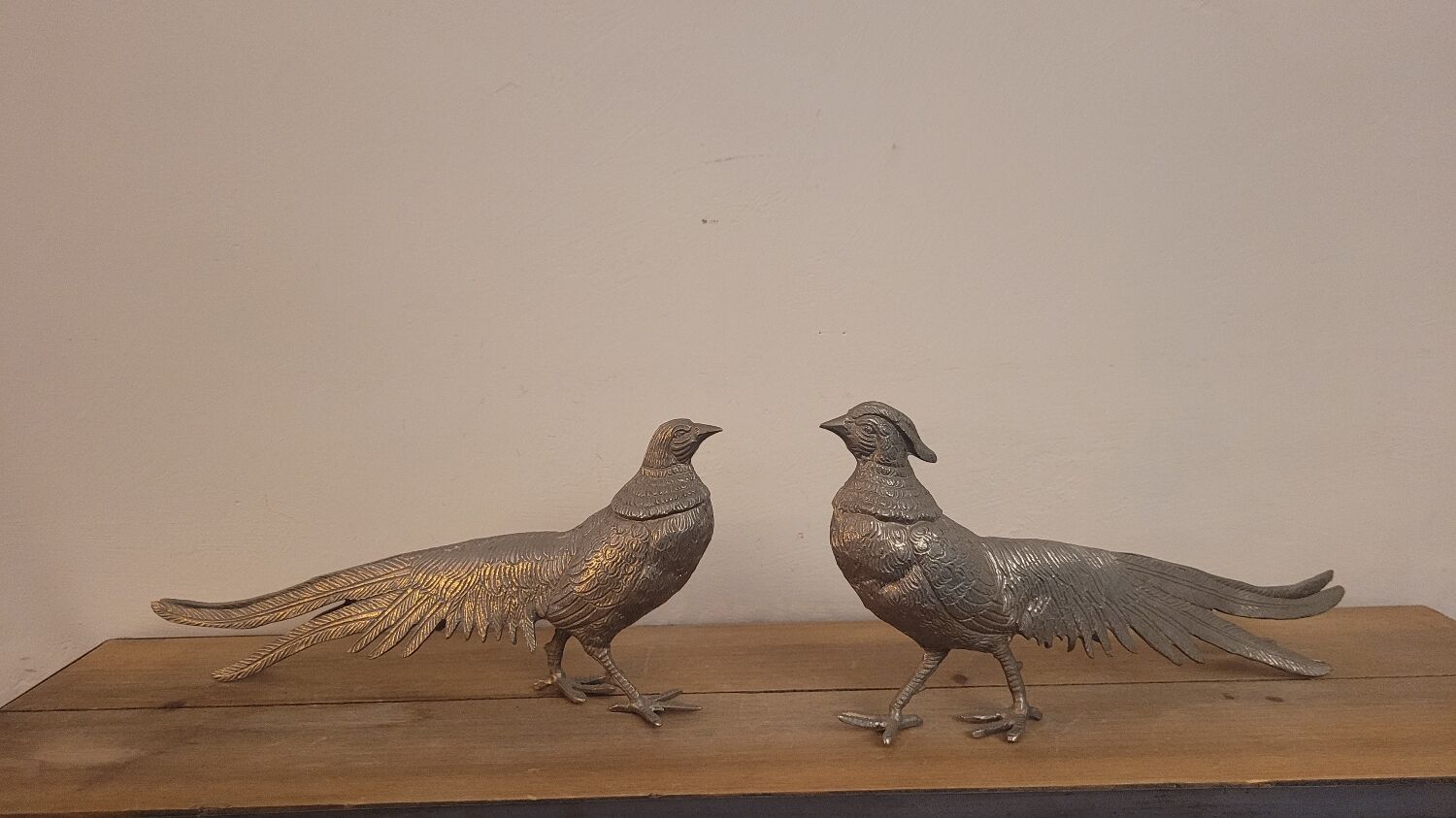 Couple of pheasant roosters