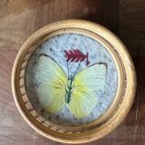 Lot de six sous verres en bambou et papillons