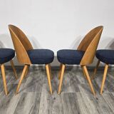 Dining Chairs by Antonin Suman, 1960s, Set of 4