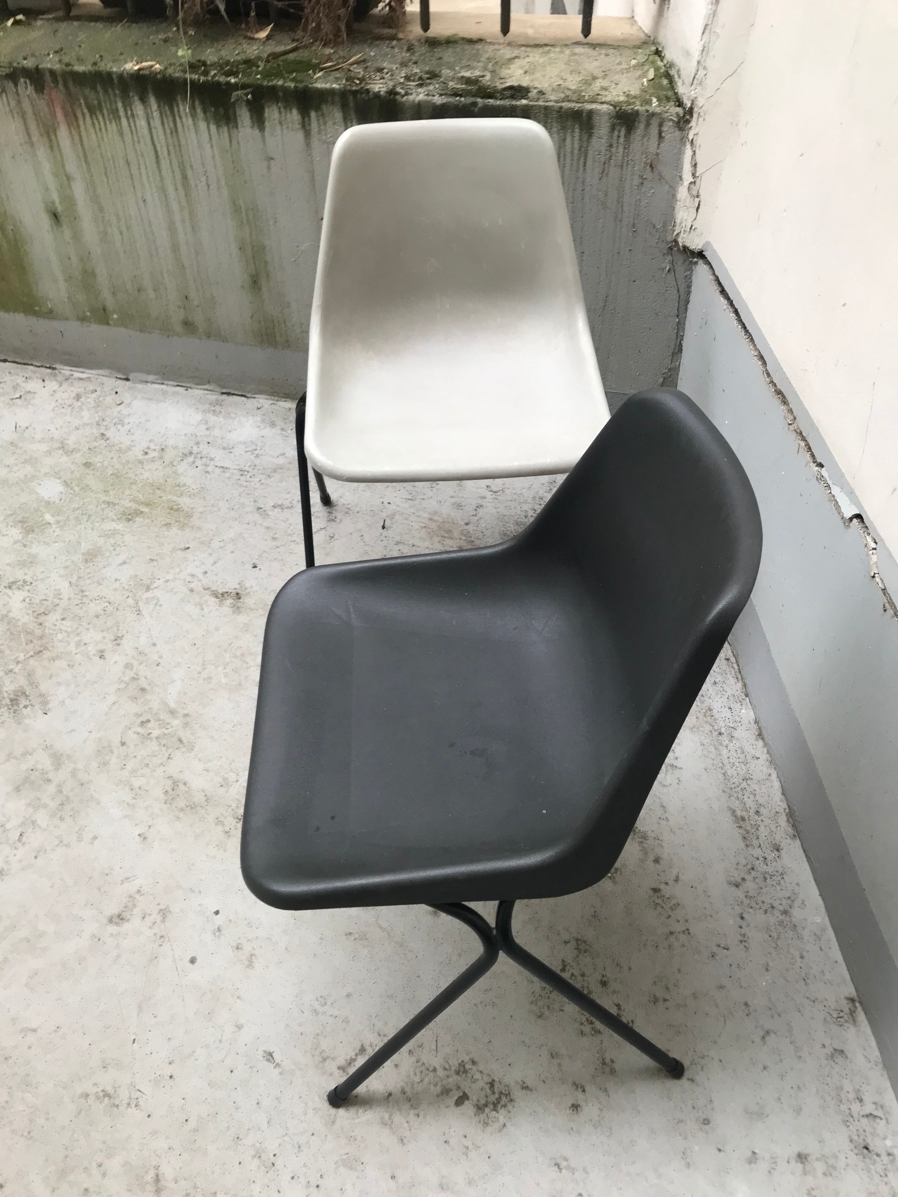 Paire de chaises Robin Day