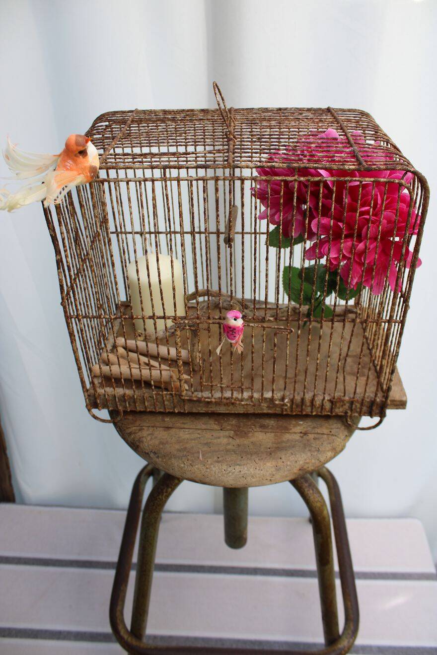 Old birdcage