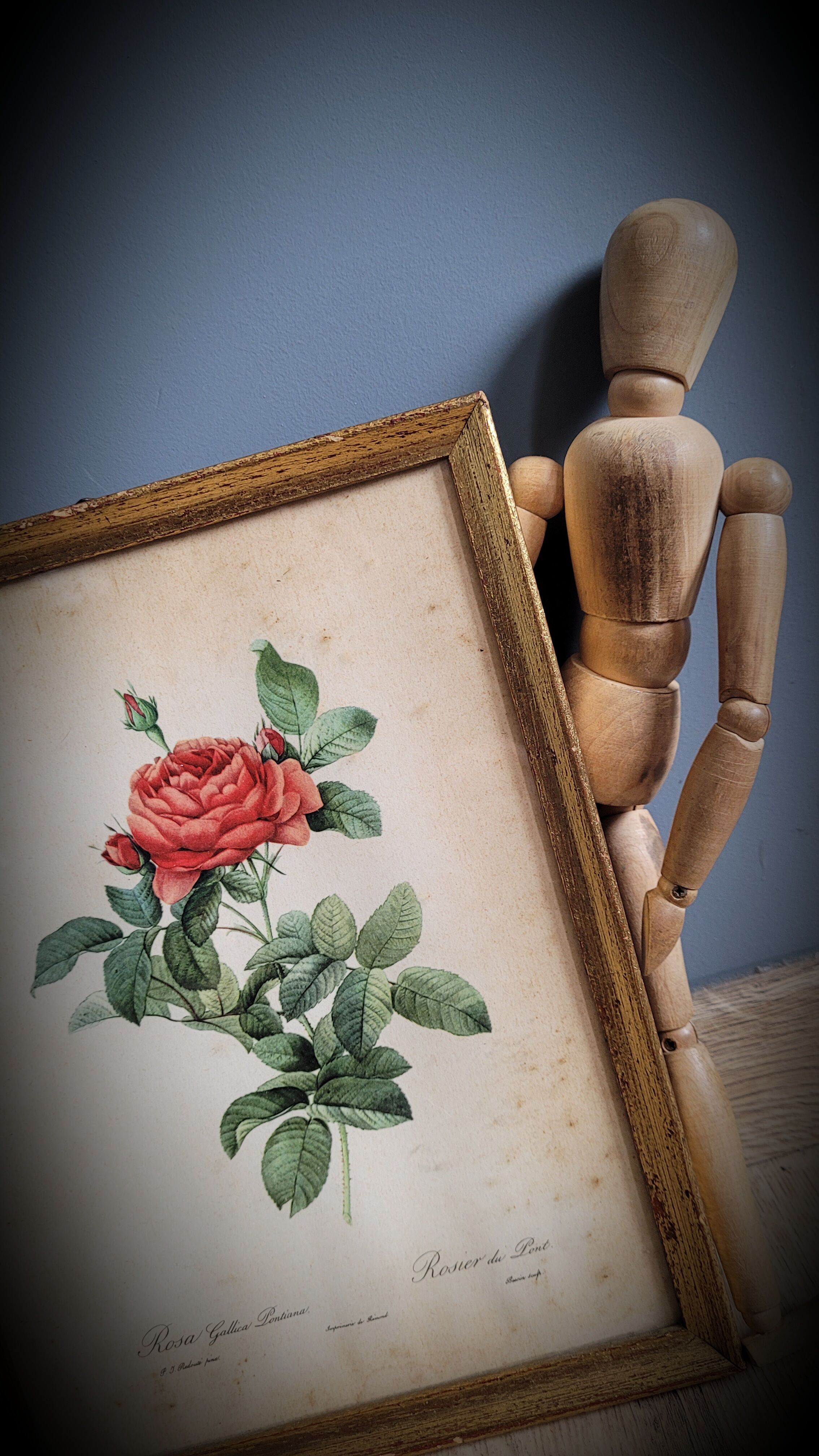 Litho rose of Pont P