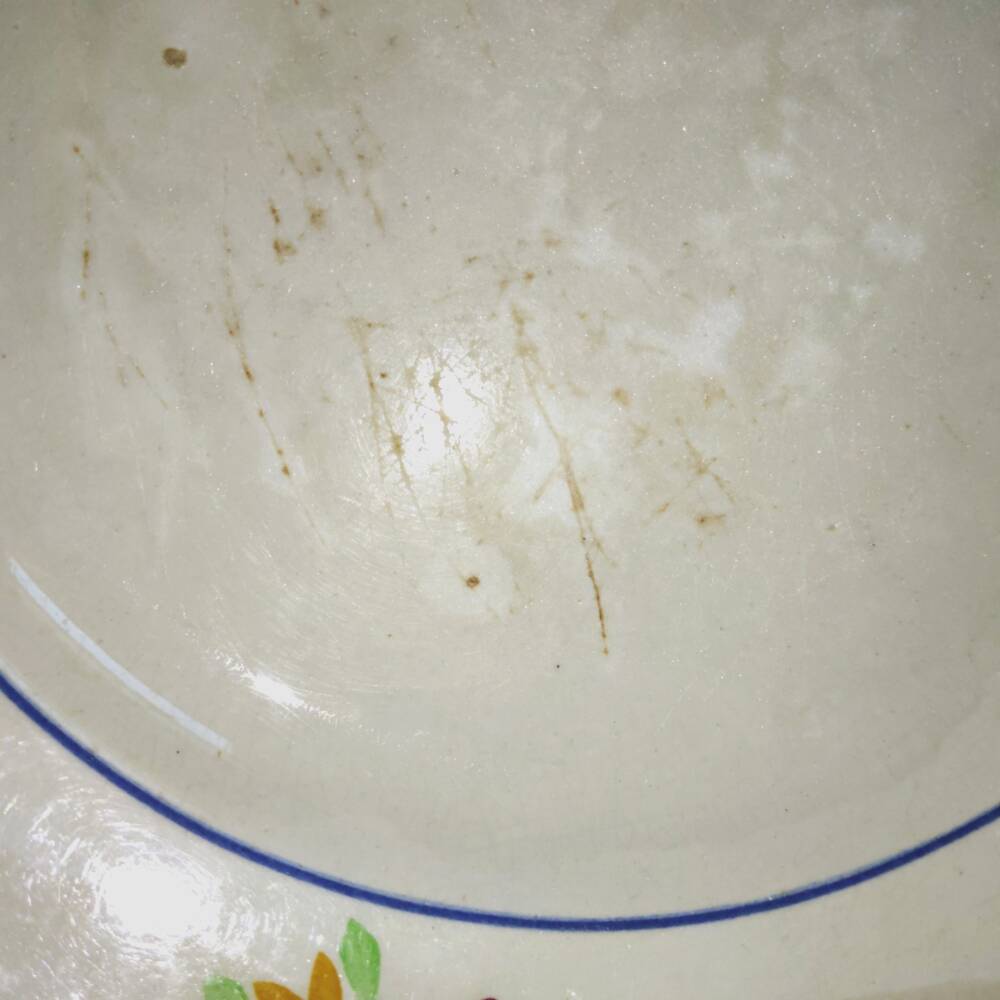 Flat Plate in Gien Earthenware hand decorated - Vintage 1940