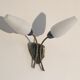 Pair of sconces opaline and brass 50s