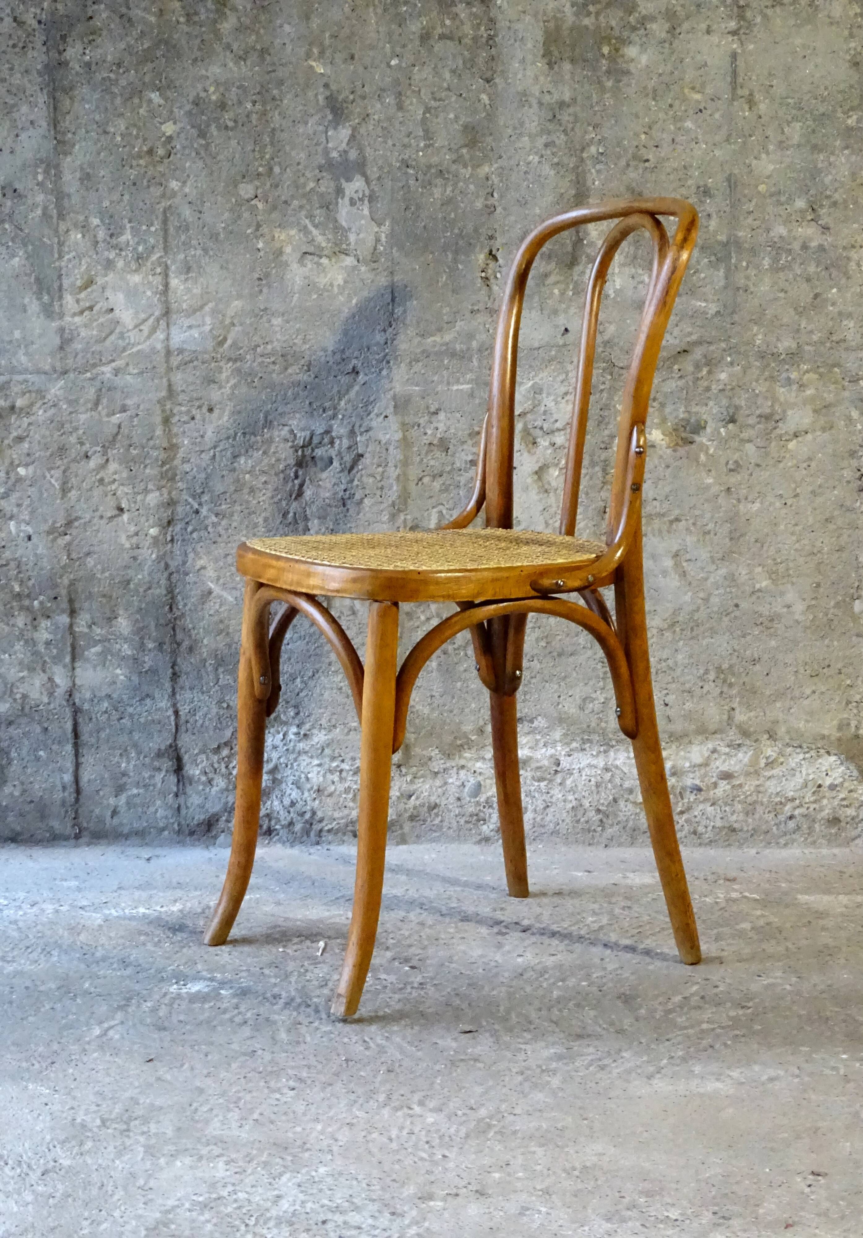 Canned bistro chair Fischel N°113, circa 1925
