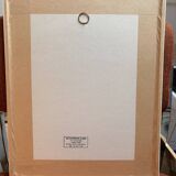 Old Print Engraving 19th Century Framed Anatomy Artery Face Bernard Dixerit