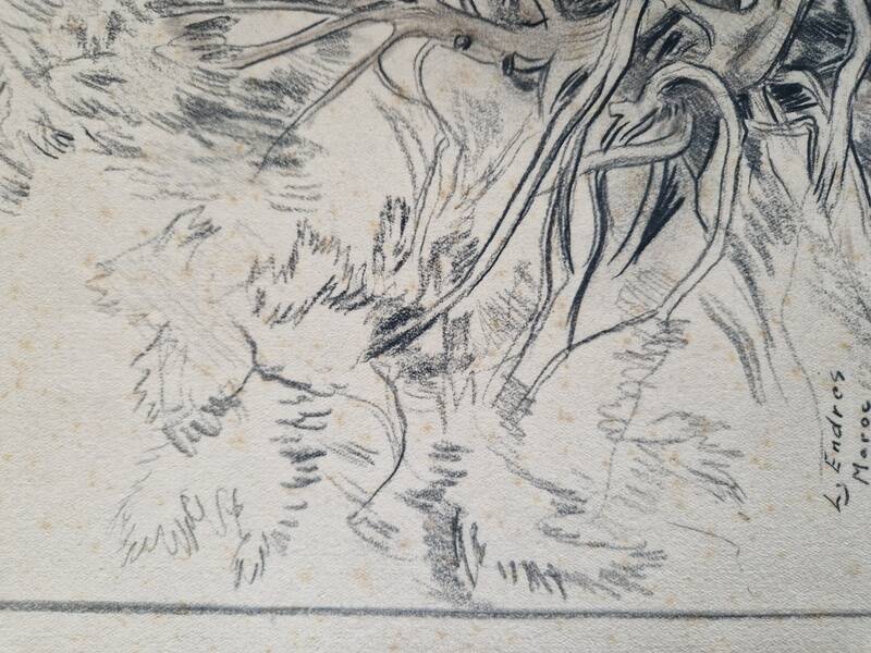 Louis John Endres (1896-1989) - Charcoal drawing on paper - Genevrier Toutliat, Grand Atlas Maroc