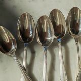 11 Reneka teaspoons