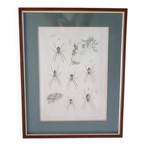 Lithographie  ancienne