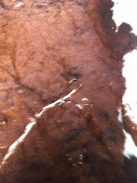 Cow cow carpet 220x225cm