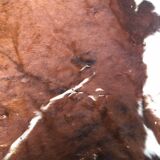 Cow cow carpet 220x225cm