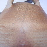 Oil jar in enamelled Grés 19th