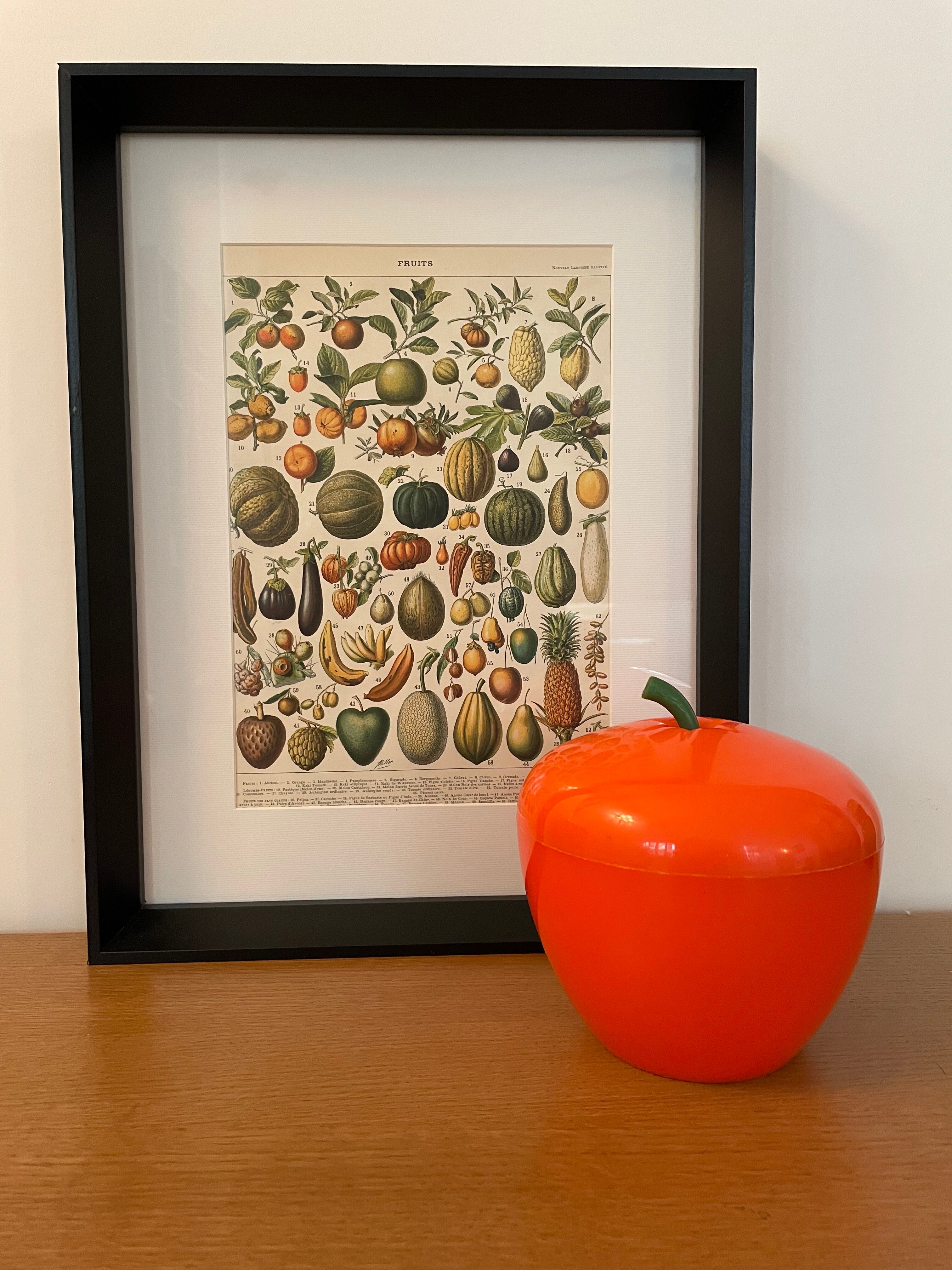 Lithograph engraving on fruits (melon) from 1897