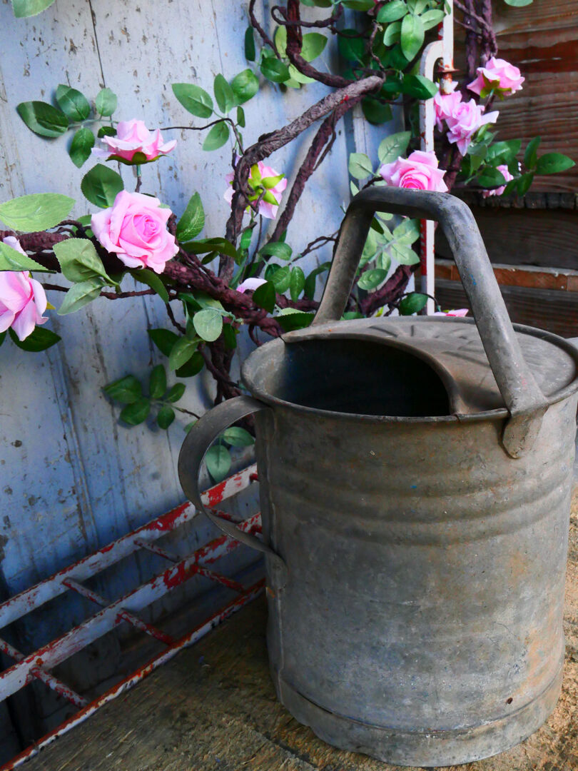 Zinc watering can ref 3