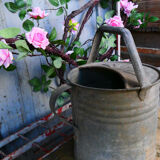 Zinc watering can ref 3