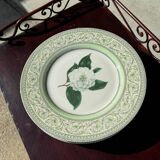 The royal horticultural dinner plate