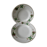 Lot of 2 hollow plates Moulin des Wolves, painted décor