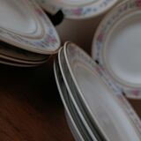 Set of 8 floral design plates | D.R.B. Limoges porcelain