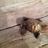 Brass turtle ashtray
