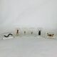 Set of 6 insects inclusion in resin