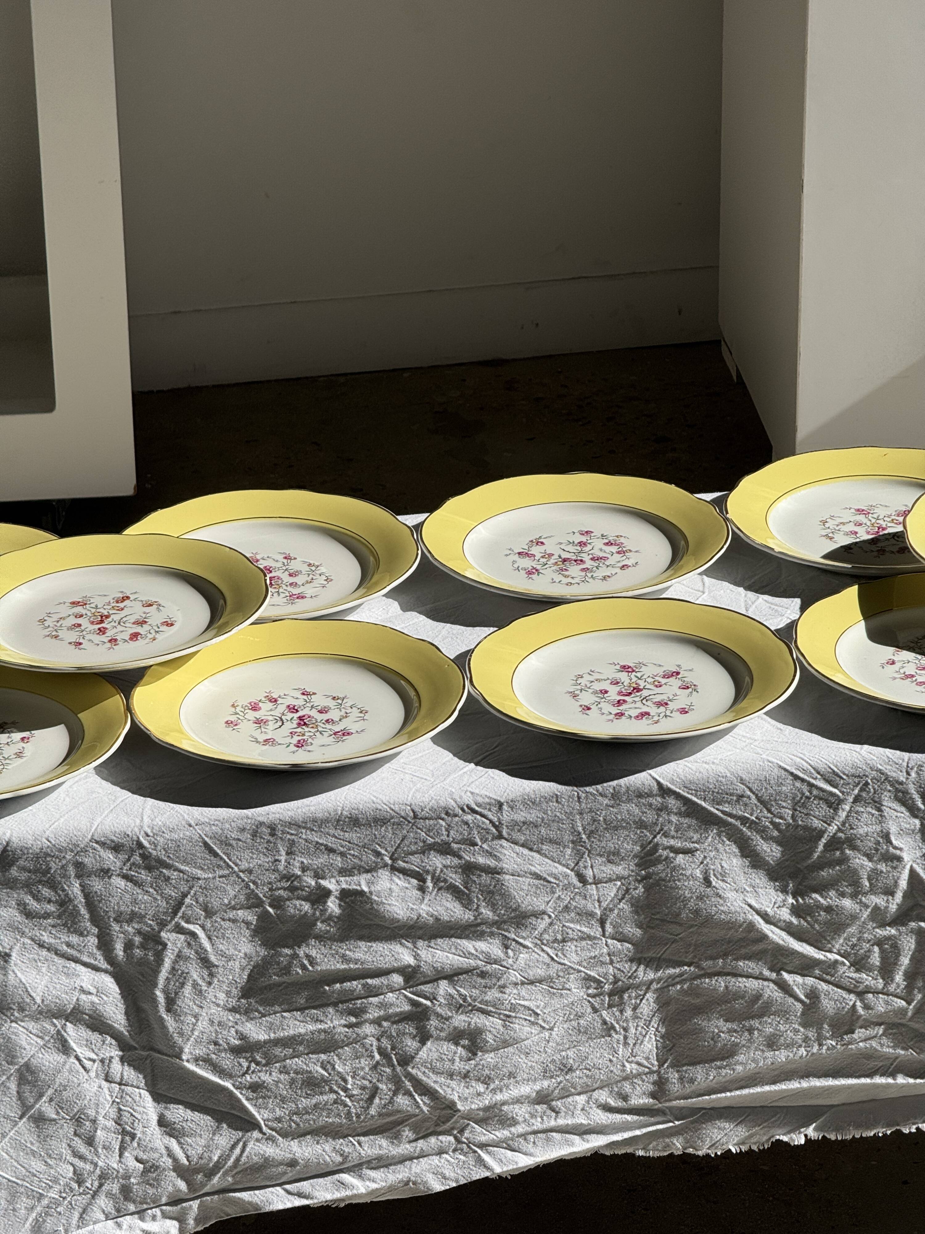 Lot de 19 grandes assiettes plates vintage jaunes fleurs roses liseré doré