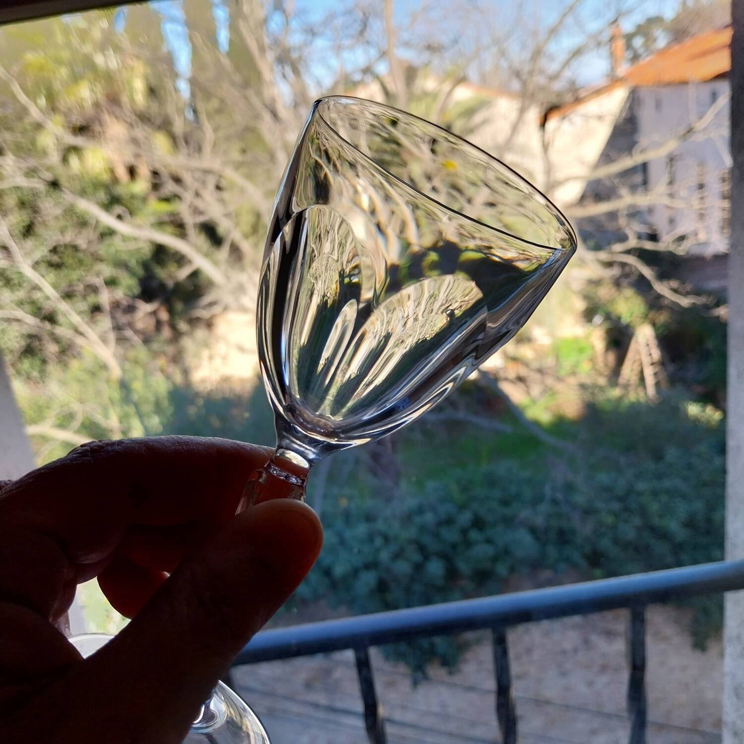 Washington model Arques crystal stemmed glasses