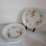 5 Haviland France Limoges Porcelain Soup Plates