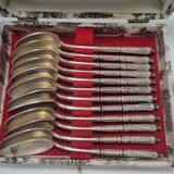 12 dessert spoons