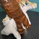 Birds couple of falcons Karl Ens