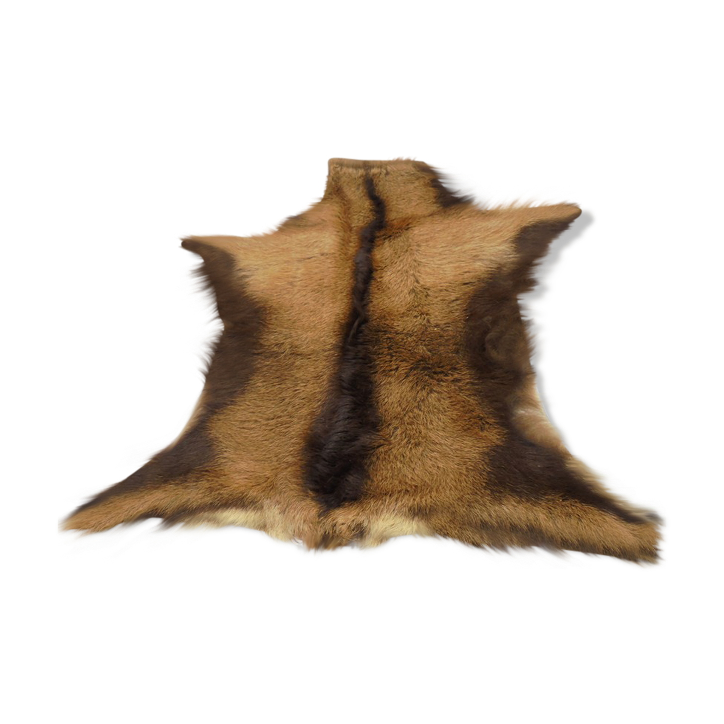 Goat skin