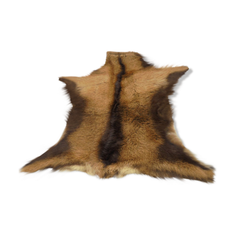 Goat skin