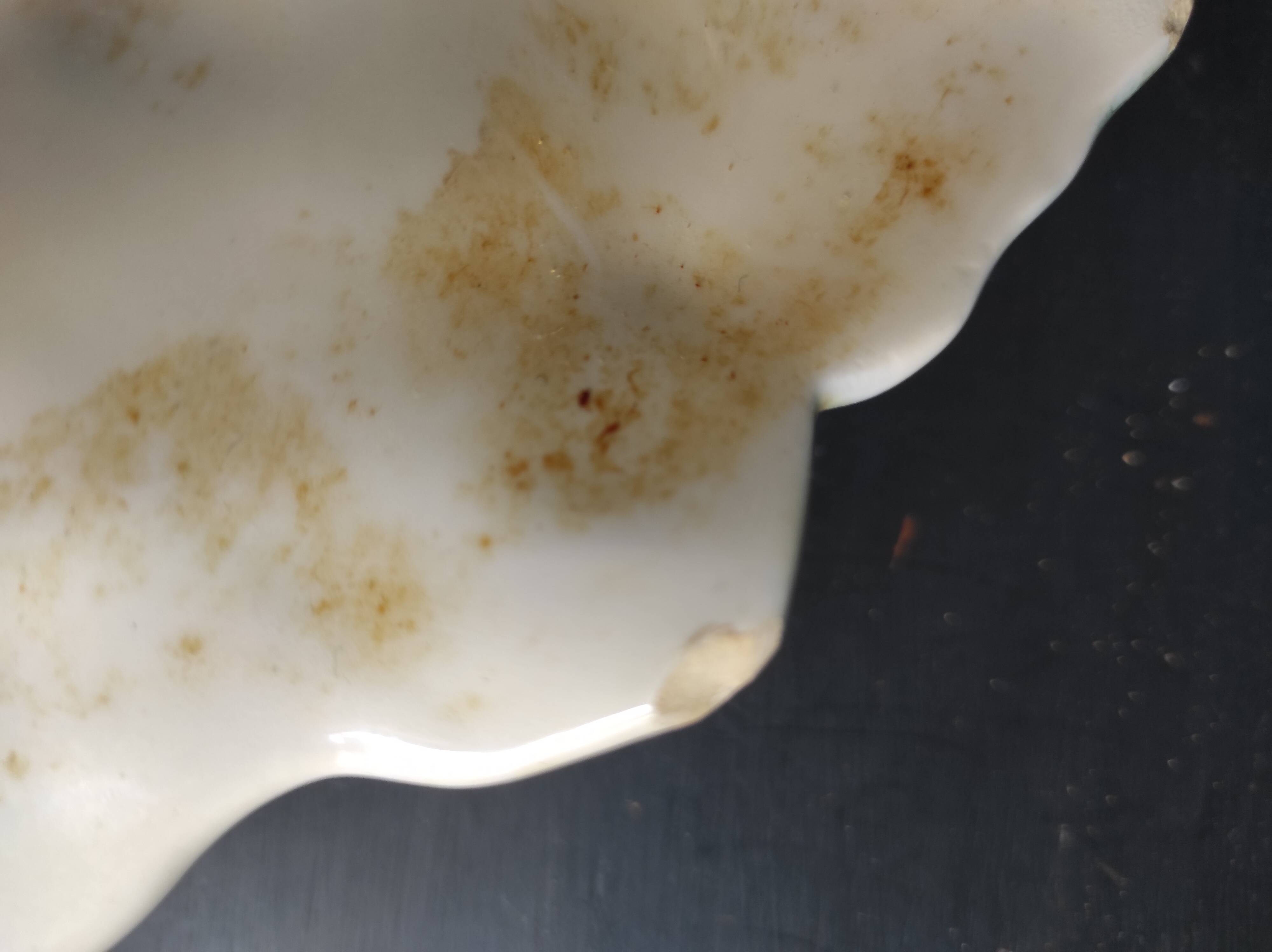 Vintage French asparagus serving tray in Majolica