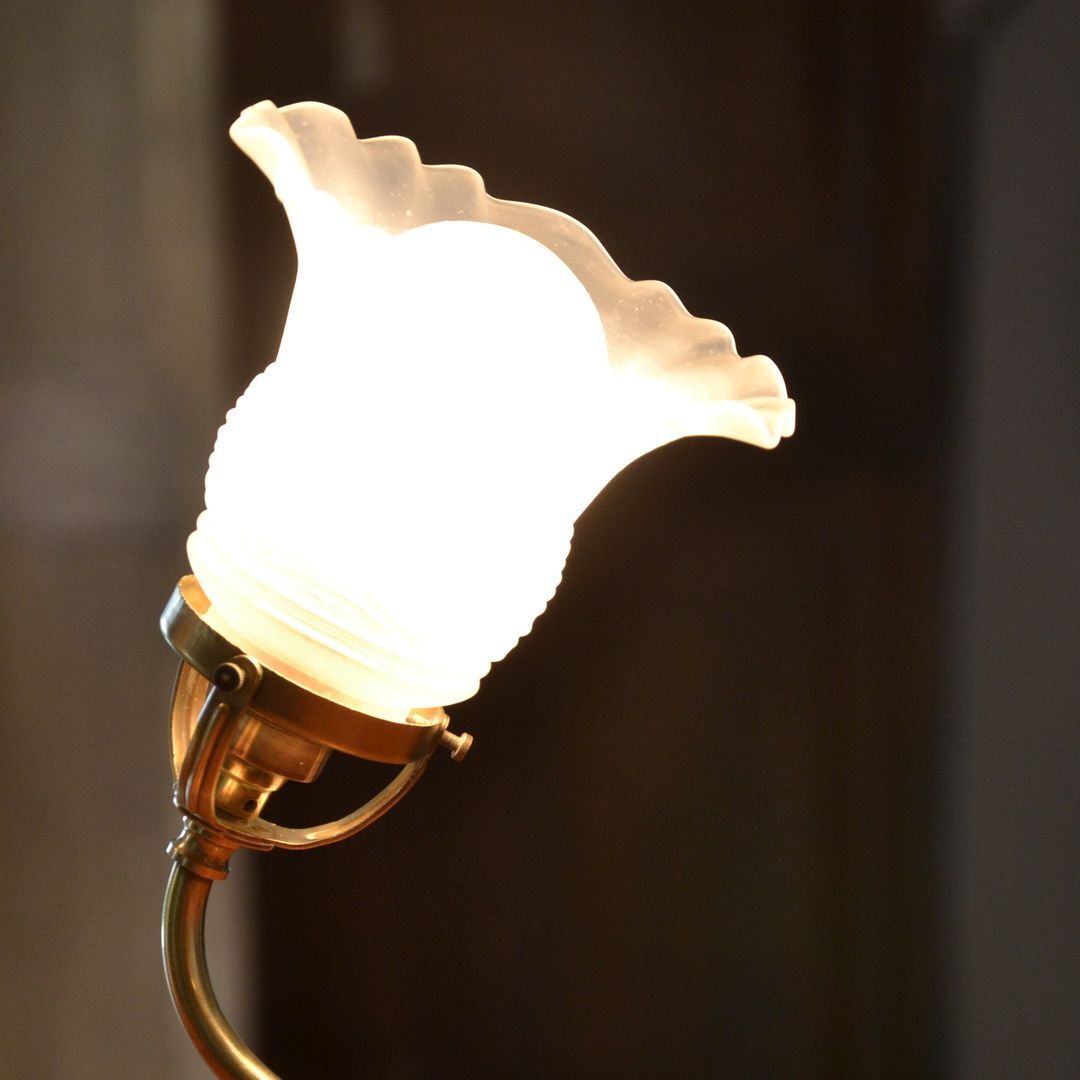 Brass gooseneck wall lamp and tulip lampshade