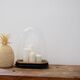 Wedding globe