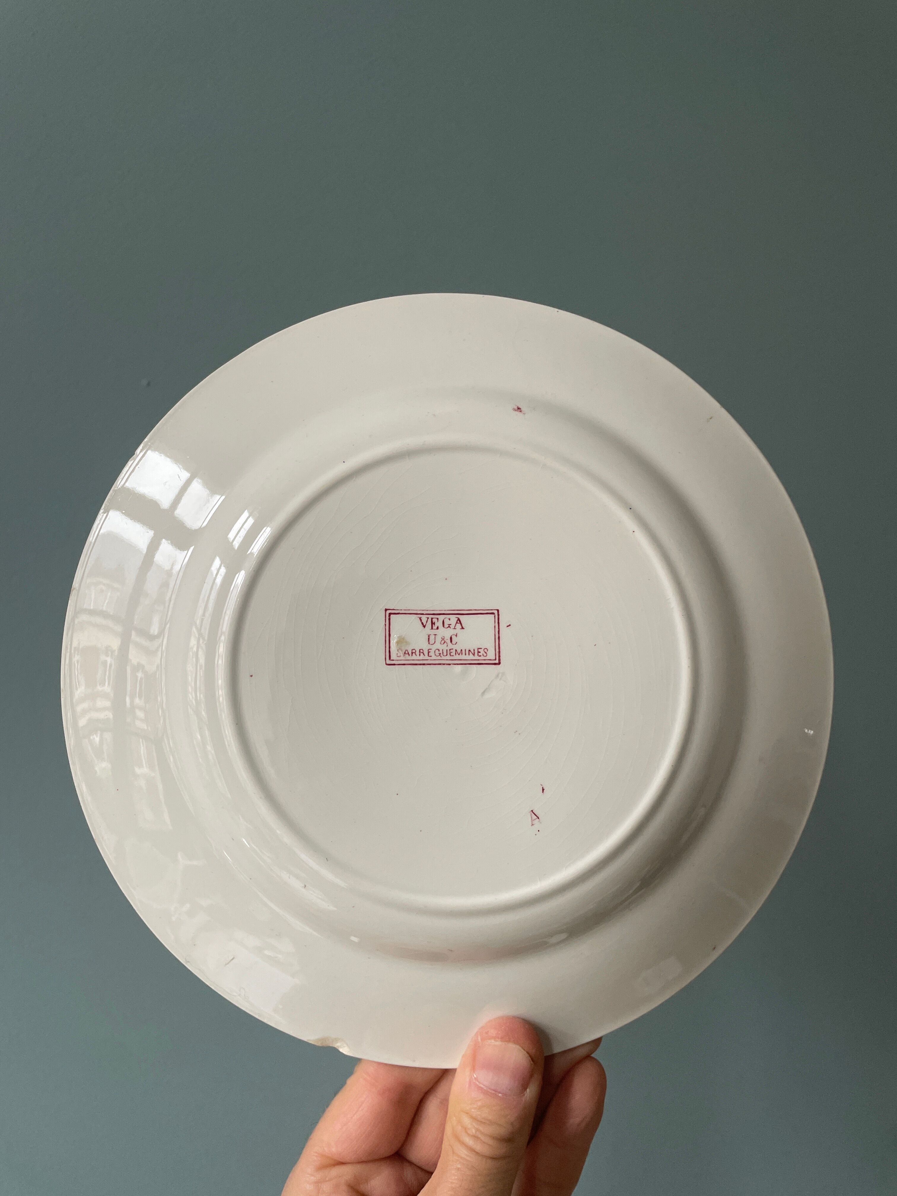 Set of 4 flat plates "Vega" U&C Sarreguemines