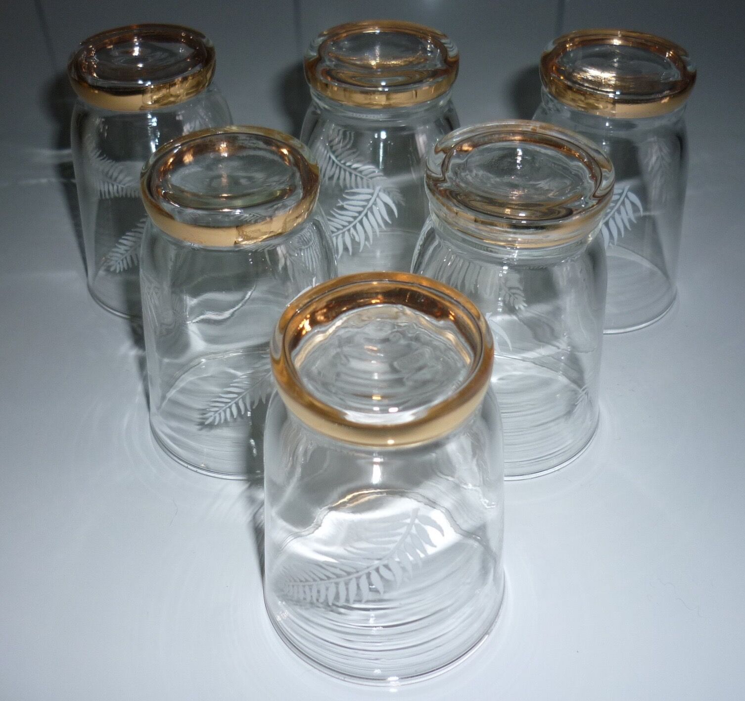 Glasses 6 decorations of ferns and gilding