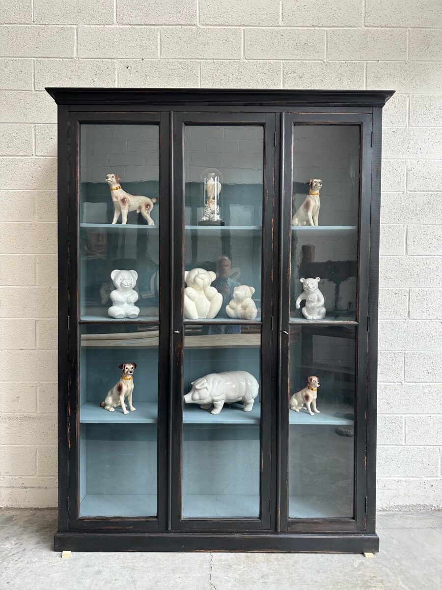 Vitrine de musée fin XIXème