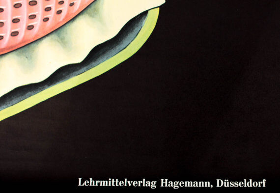 Poster from Jung-Koch-Quentell "mussels blue" 1970