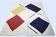 Carpet / TAPESTRY BY KASIMIR MALEVITCH - 100% WOOL