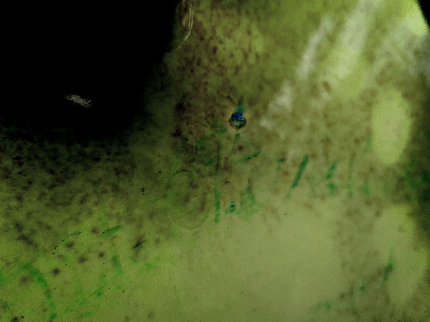 Set of Mont Chevalier Cannes fireplace trims