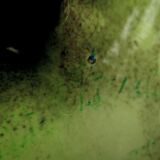 Set of Mont Chevalier Cannes fireplace trims