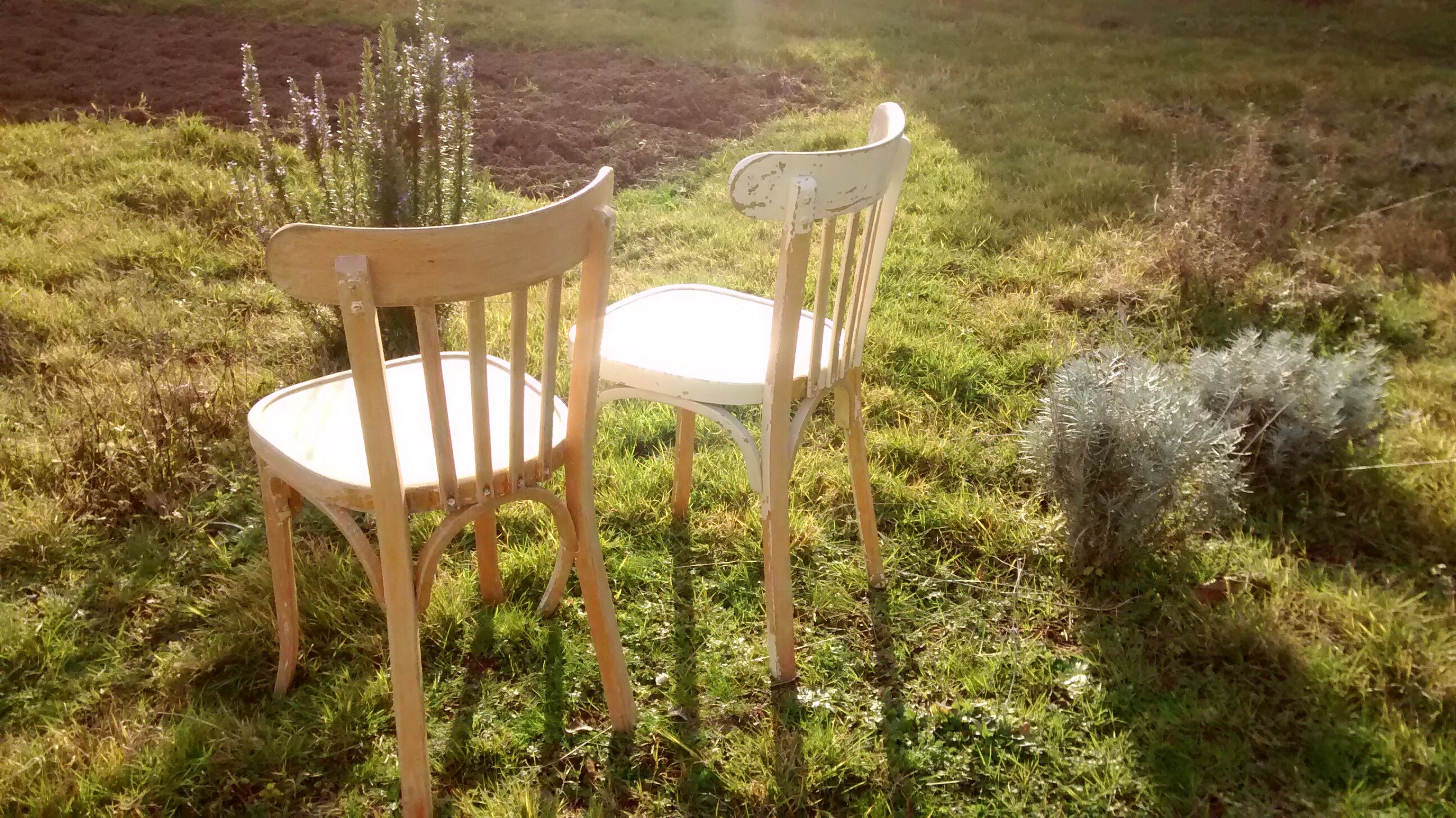 Pair of bistro chairs