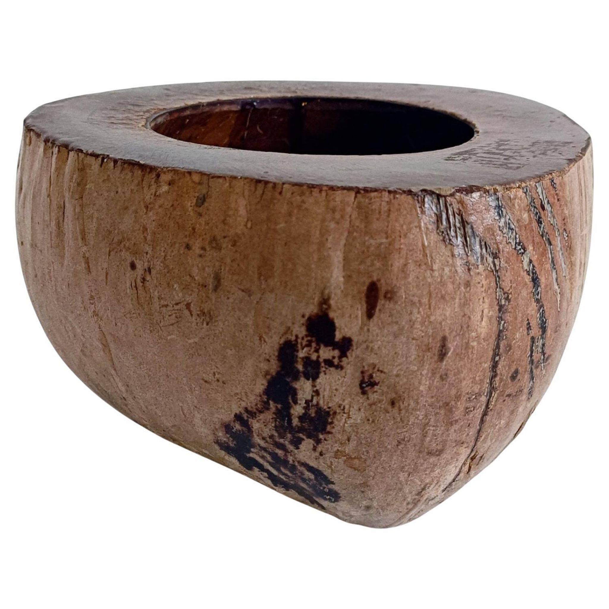Centre de table Wabi Sabi moderne organique Coco de Mer, sculpté à la main, 19e siècle.